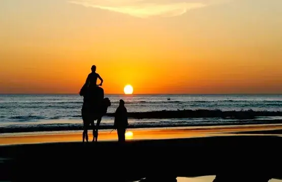 1 día desde Marrakech a Essaouira