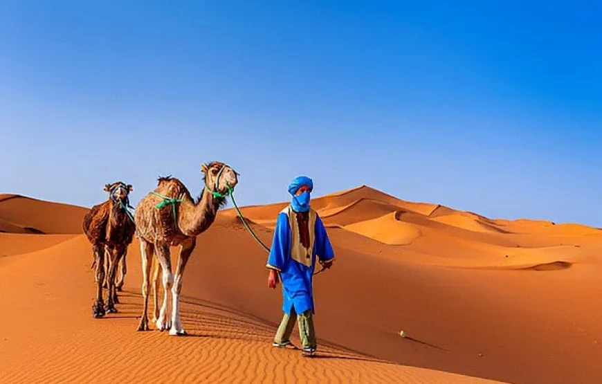 Tour nel deserto di 4 giorni da Marrakech al sud