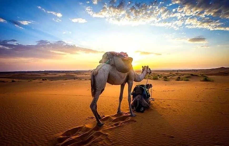 Viaggio di 8 giorni alla scoperta di Marrakech e deserto