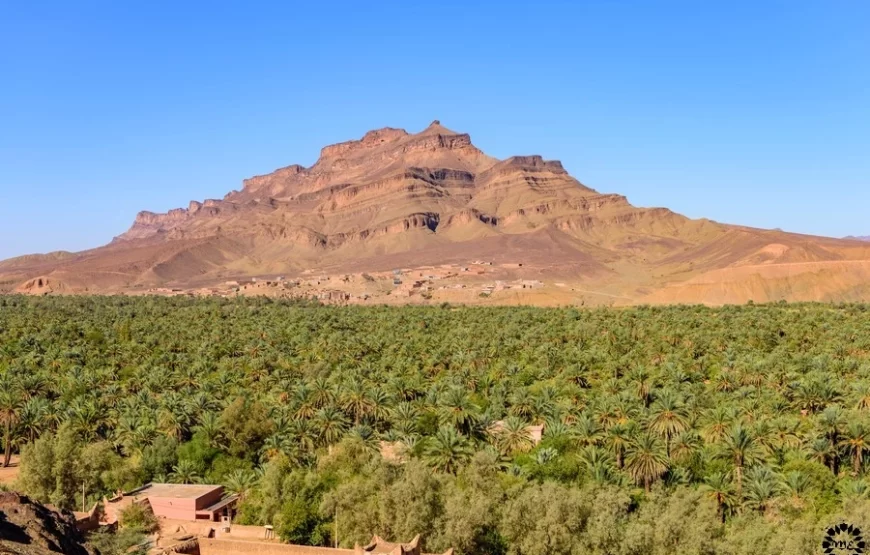 2 dias de Marraquexe ao deserto de Zagora