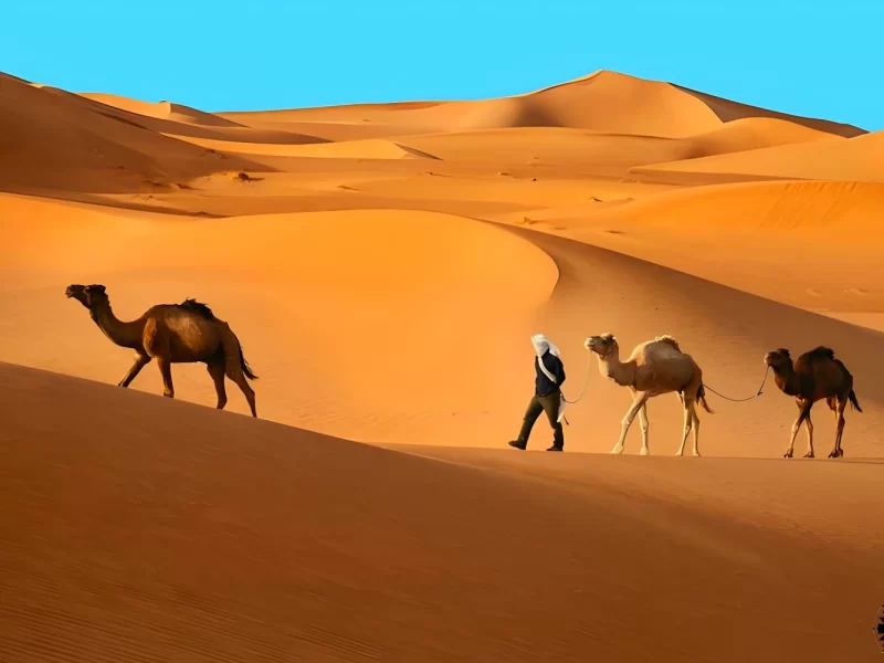 Merzouga dunes