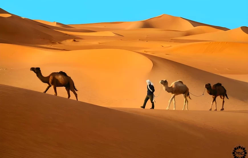 3 giorni da Marrakech al deserto di Merzouga