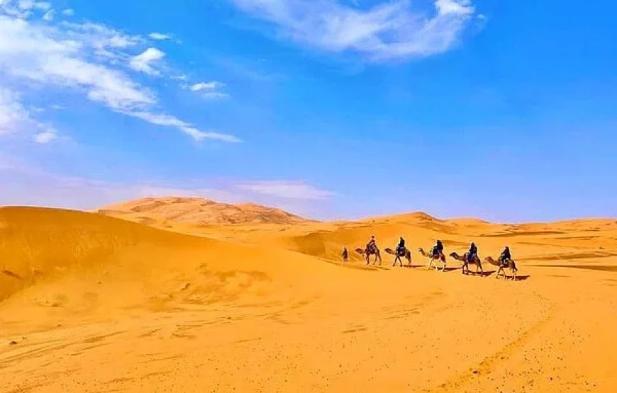 Viaggio di 6 giorni da Marrakech al sud e al deserto