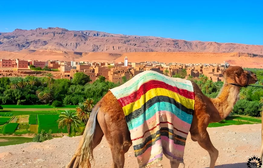 3 dias de Marrakech ao deserto do Saara