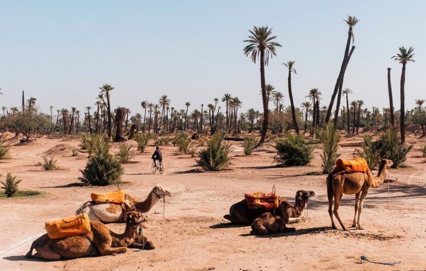 2 giorni da Marrakech al deserto di Zagora