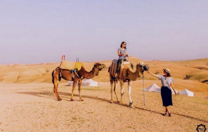 Circuit de 2 jours de Marrakech vers Zagora