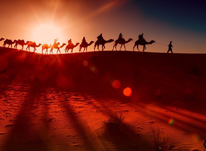 Excursion de camellos en el desierto de Zagora