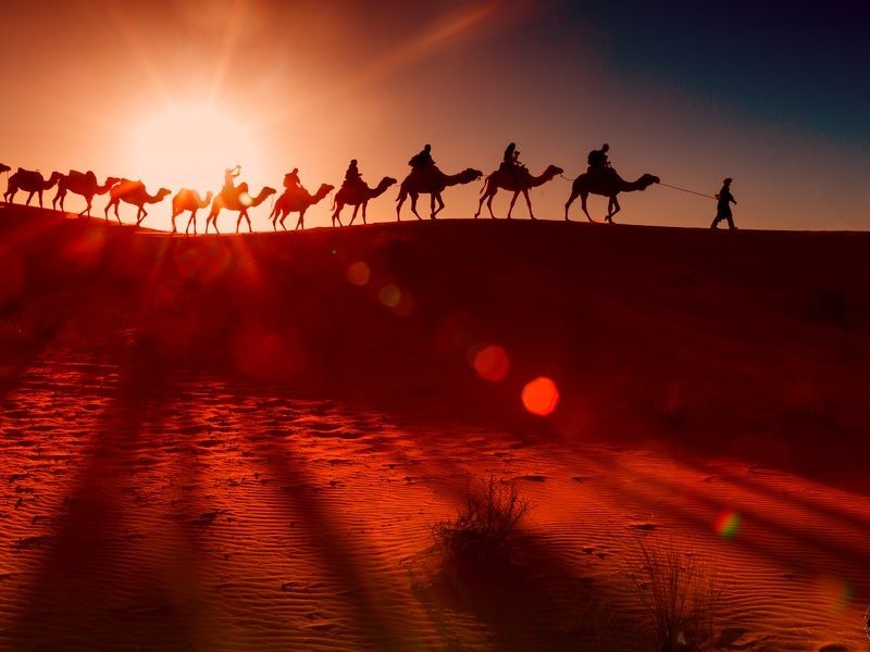 Camel ride in Zagora desert