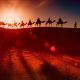 Camel ride in Zagora desert