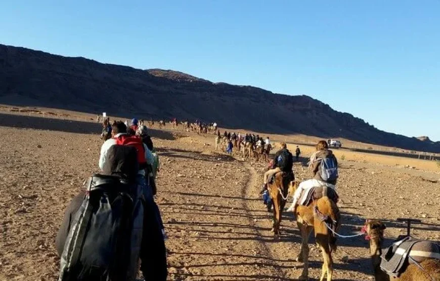 Tour deserto di 2 giorni da Marrakech a Zagora