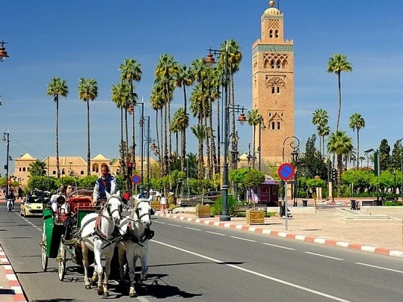 Koutobia - 10 day tour from Marrakech