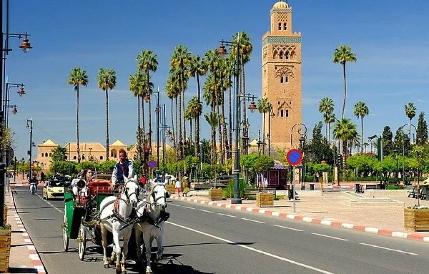 Tour di 10 giorni da Marrakech al deserto atlante e oceano