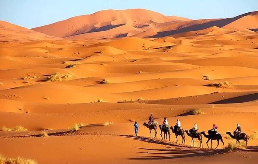 12 Giorni tour da Marrakech alle città imperiali, sud e nord