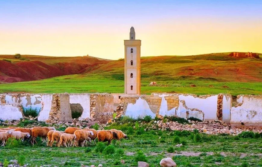 Tour di 4 giorni nel deserto del Sahara con partenza da Fes