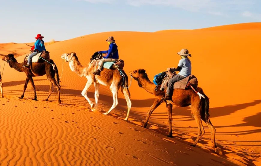 Excursão de 6 dias de Casablanca a Marraquexe via Fez e deserto