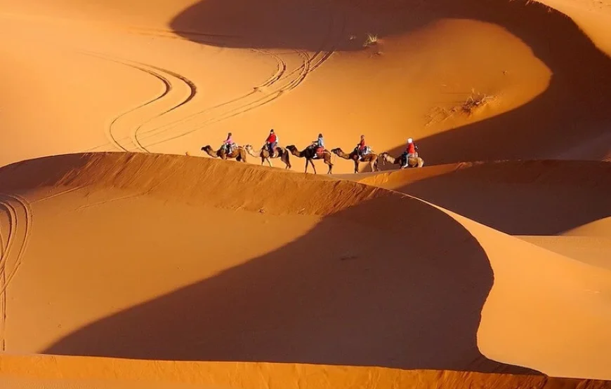Circuit de 8 jours de Fès à Marrakech via Chefchaouen et désert