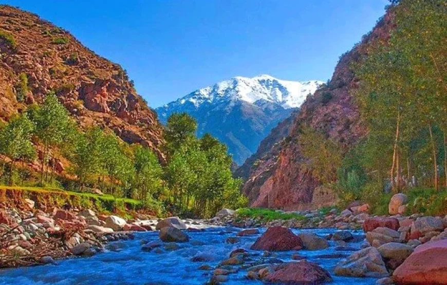 Escursione di un giorno da Marrakech a Ourika