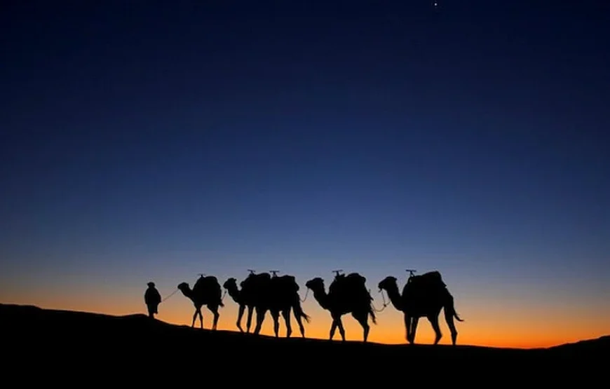 Viaggio di 3 giorni da Fes a Marrakech attraverso il deserto