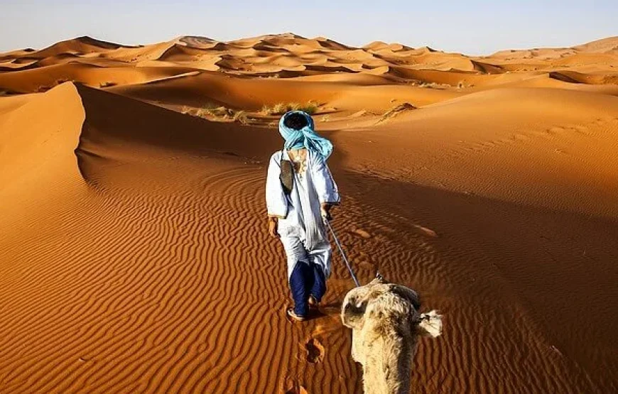 Tour di 10 giorni da Marrakech al deserto atlante e oceano