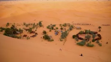 Merzouga Oasis
