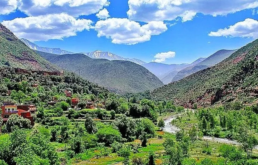 Escursione di un giorno da Marrakech a Ourika