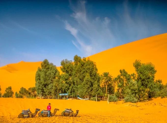 week in Merzouga