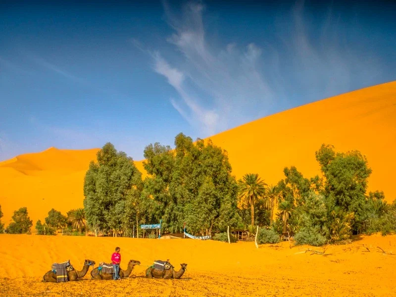 week in Merzouga
