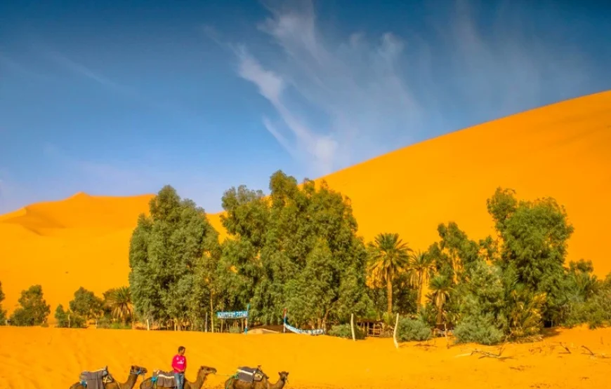 Settimana nel deserto, Marocco (Giro in Cammello, 4×4, Quad)
