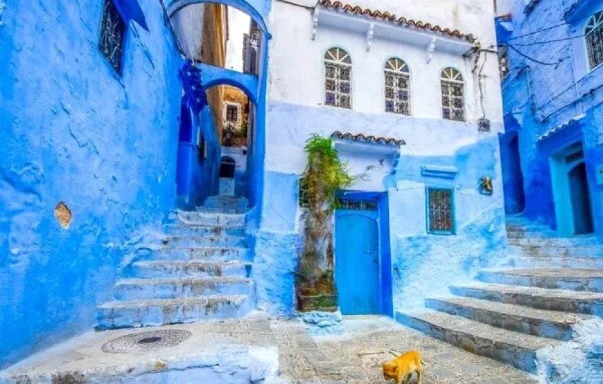 10 Dias de Marrakech ao deserto, Fez, Chefchaouen e Rabat