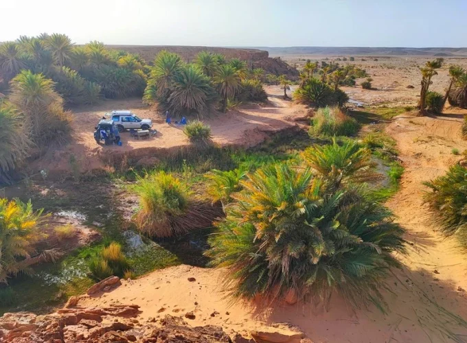 day trip to safsaf oasis