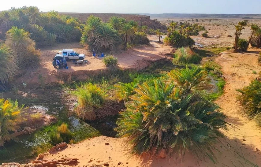 4×4 Excursion to Safsaf Oasis in Merzouga desert